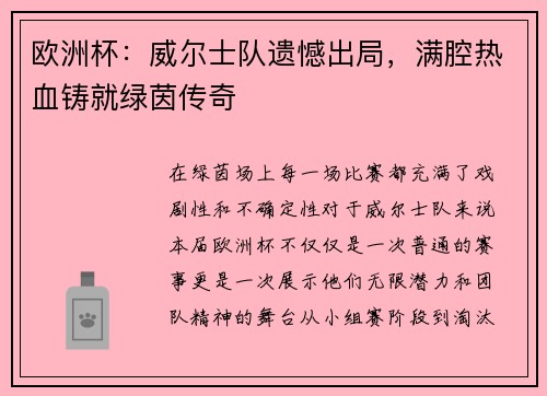 欧洲杯：威尔士队遗憾出局，满腔热血铸就绿茵传奇